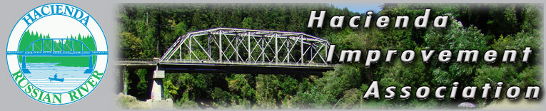 bridge banner